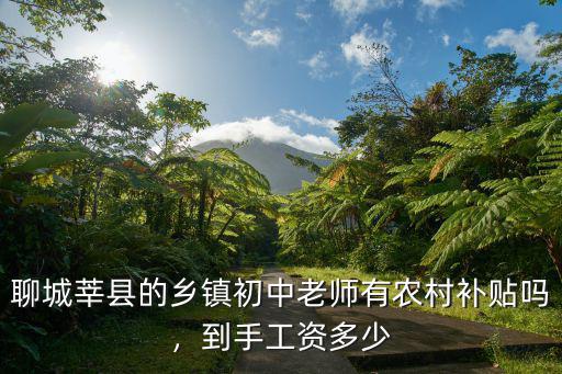 聊城莘縣的鄉(xiāng)鎮(zhèn)初中老師有農村補貼嗎，到手工資多少