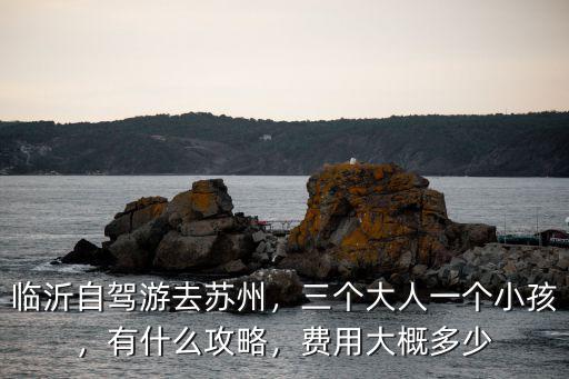 泰州到臨沂自駕多少費用,費用大概多少