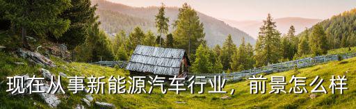 現在從事新能源汽車行業，前景怎么樣