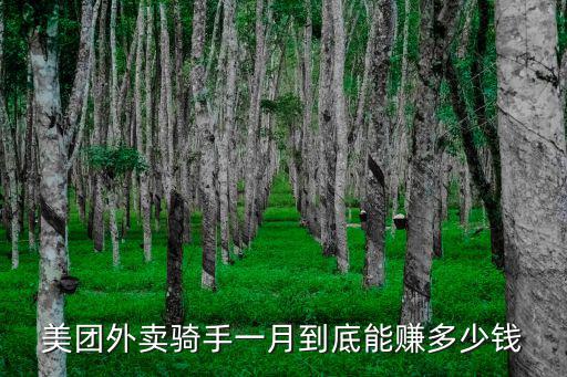 美團外賣騎手一月到底能賺多少錢