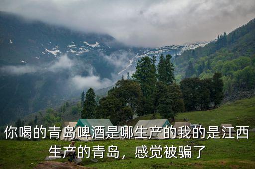 你喝的青島啤酒是哪生產的我的是江西生產的青島，感覺被騙了