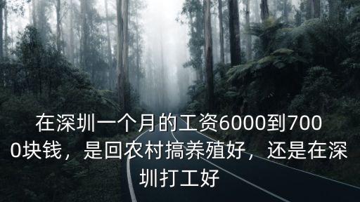 在深圳一個(gè)月的工資6000到7000塊錢，是回農(nóng)村搞養(yǎng)殖好，還是在深圳打工好