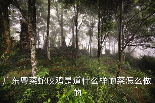 廣東怎么做蛇,廣東一倉庫出現14條眼鏡蛇