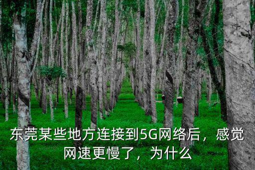 東莞某些地方連接到5G網絡后，感覺網速更慢了，為什么