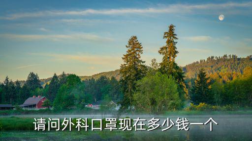 菏澤三木口罩多少錢一個,一次性口罩3元一個貴嗎