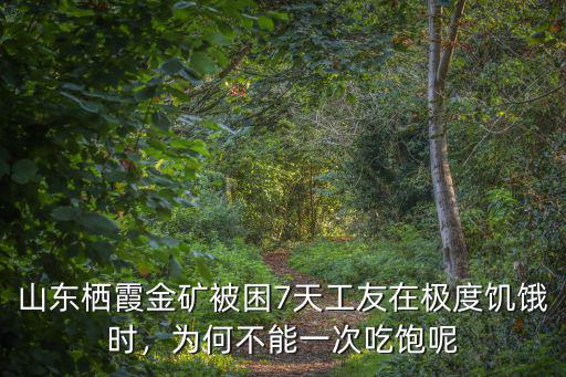 山東棲霞金礦事故共被困多少人,山東棲霞一金礦發生爆炸