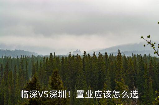 深圳百德置業(yè)怎么樣,臨深VS深圳