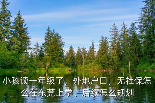小孩讀一年級了，外地戶口，無社保怎么在東莞上學、后續怎么規劃