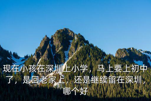 現在小孩在深圳上小學，馬上要上初中了，是回老家上，還是繼續留在深圳，哪個好
