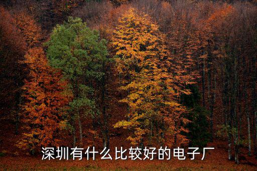 深圳雅視杰電子廠怎么樣,深圳富士康怎么樣
