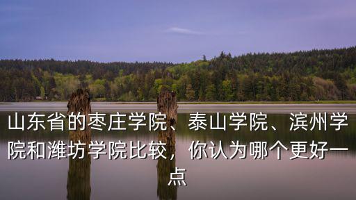 山東省的棗莊學(xué)院、泰山學(xué)院、濱州學(xué)院和濰坊學(xué)院比較，你認(rèn)為哪個更好一點