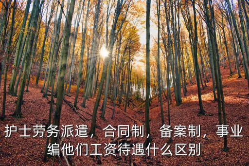 護(hù)士勞務(wù)派遣，合同制，備案制，事業(yè)編他們工資待遇什么區(qū)別