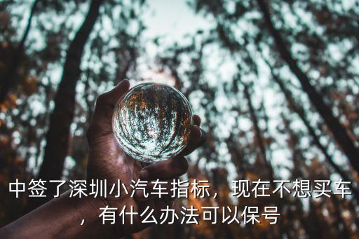 深圳搖牌怎么保號,搖到深圳牌了