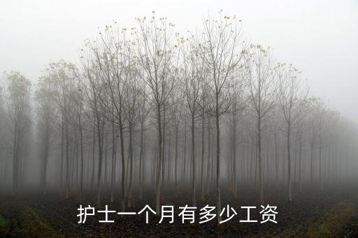煙臺事業編護士基本工資多少,護士一個月有多少工資