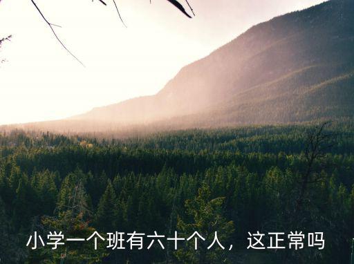 山東小學(xué)一個班標(biāo)準(zhǔn)多少人,國家規(guī)定小學(xué)標(biāo)準(zhǔn)班級45人