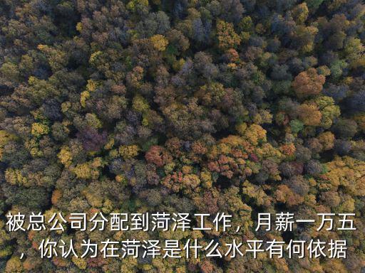 被總公司分配到菏澤工作，月薪一萬五，你認為在菏澤是什么水平有何依據