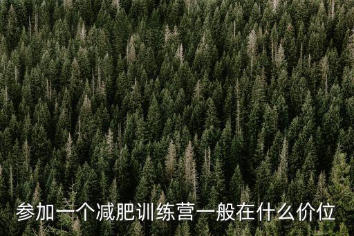 參加一個減肥訓練營一般在什么價位