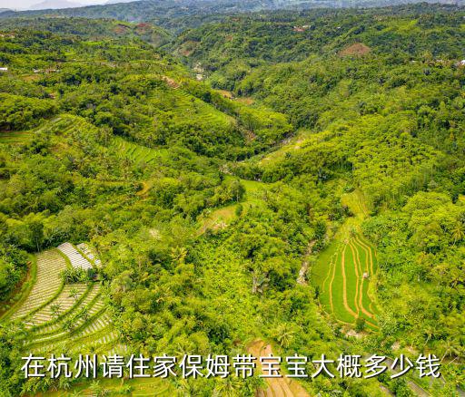 杭州現(xiàn)在住家保姆多少錢,杭州不住家保姆價格