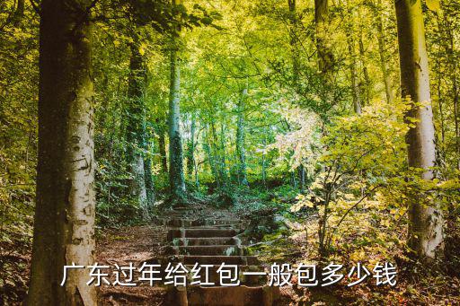 廣州人紅包要包多少錢一個,廣東過年給紅包一般包多少錢