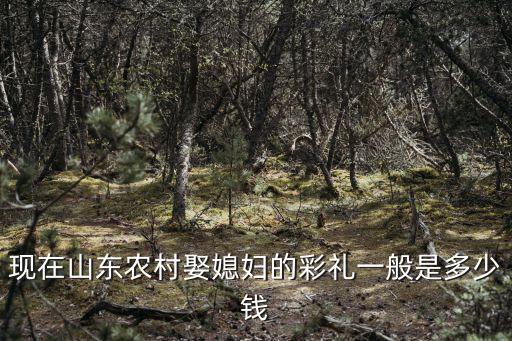 山東農村結婚一般需要多少錢,結婚娶媳婦彩禮一般多少錢