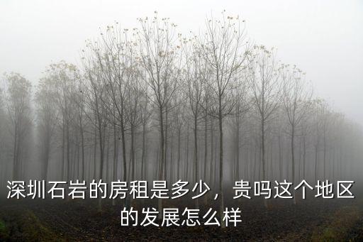 深圳石巖的房租是多少，貴嗎這個地區的發展怎么樣
