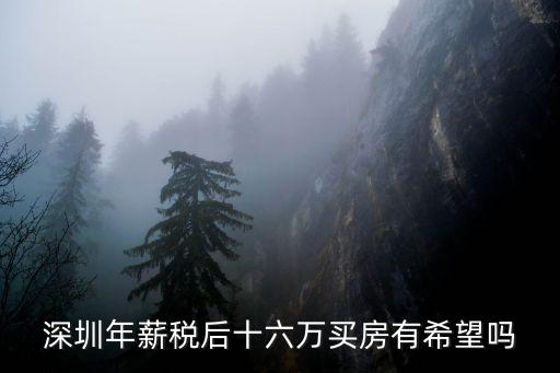 深圳年薪稅后十六萬買房有希望嗎