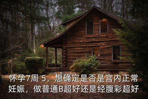 懷孕7周 5，想確定是否是宮內正常妊娠，做普通B超好還是經腹彩超好