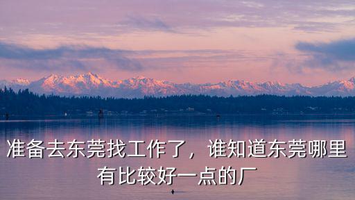 準備去東莞找工作了，誰知道東莞哪里有比較好一點的廠