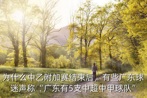 為什么中乙附加賽結束后，有些廣東球迷聲稱“廣東有5支中超中甲球隊”