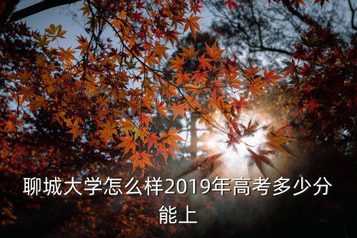 聊城一中新校高考2020一般多少分,聊城大學怎么樣