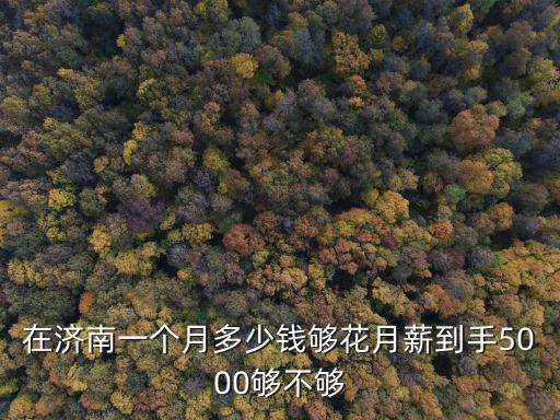 在濟南一個月多少錢夠花月薪到手5000夠不夠