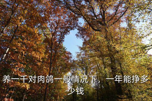 廣州乳鴿多少錢,一年能掙多少錢
