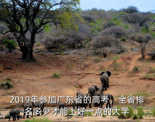 2018年廣東高考1分差多少人,廣東高考錄取率為什么這么低