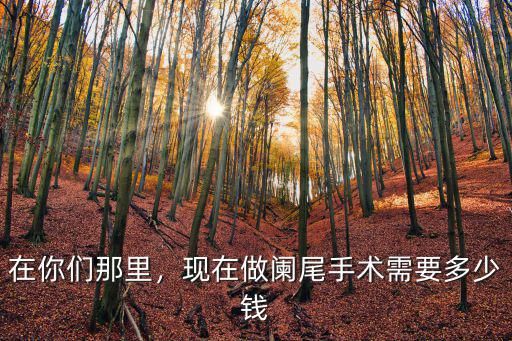 溫州雙嶼醫(yī)院做闌尾手術(shù)多少錢,現(xiàn)在做闌尾手術(shù)需要多少錢
