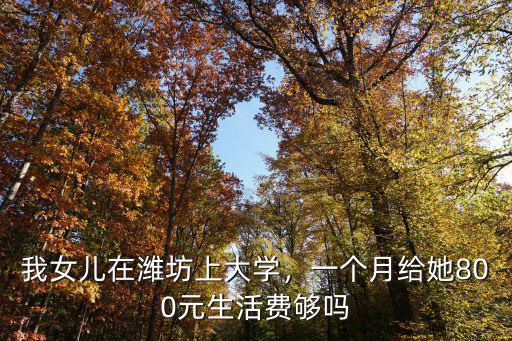 我女兒在濰坊上大學，一個月給她800元生活費夠嗎