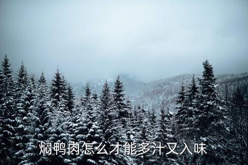 廣東蠔油燜鴨怎么做,土豆?fàn)F鴨肉怎么做好吃