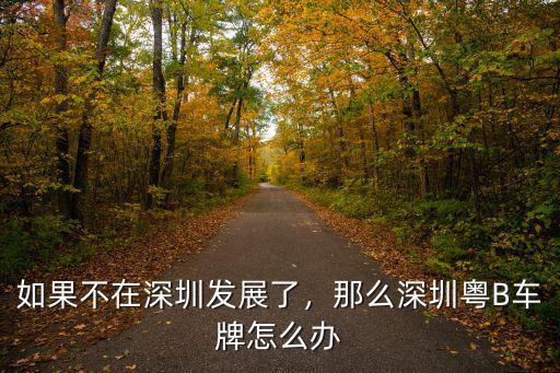 如果不在深圳發展了，那么深圳粵B車牌怎么辦