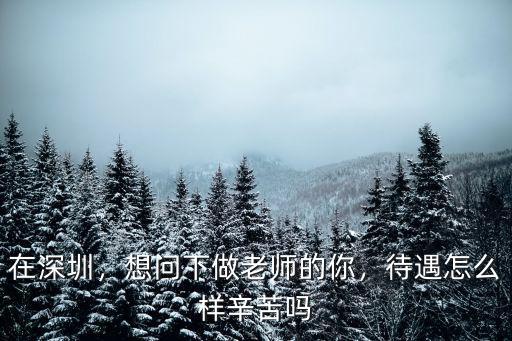 在深圳，想問下做老師的你，待遇怎么樣辛苦嗎