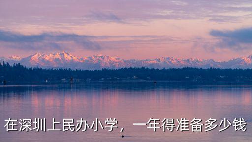 在深圳上民辦小學，一年得準備多少錢