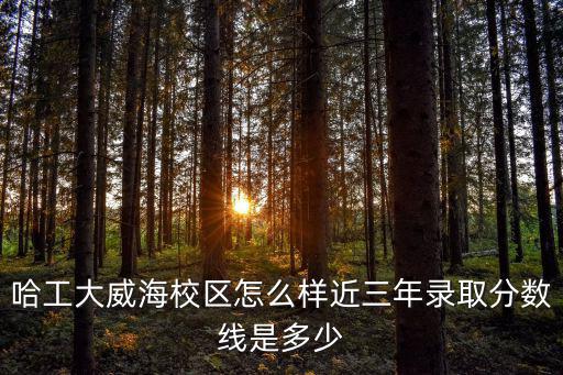 哈工大威海分校的分數是多少,近三年錄取分數線是多少