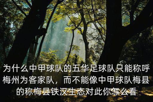 廣東有多少中甲足球隊,中甲多支球隊出現財政危機