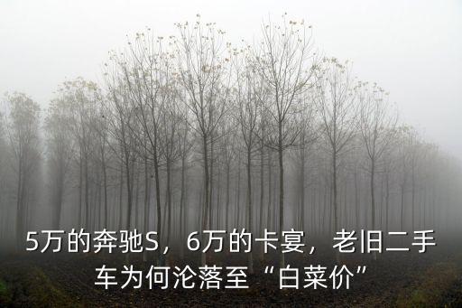 5萬的奔馳S，6萬的卡宴，老舊二手車為何淪落至“白菜價”