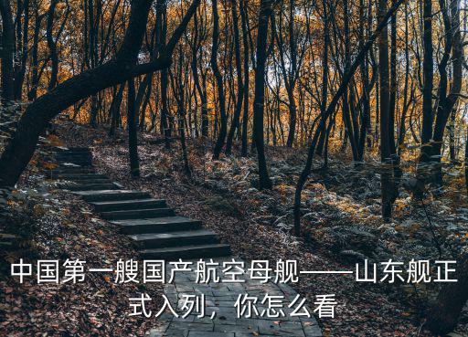 中國山東艦有多少航艦,中國第一艘國產航空母艦
