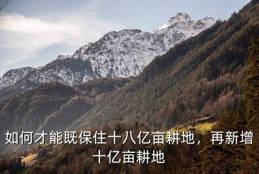 棗莊有多少畝耕地,農村耕地出租多少錢一畝