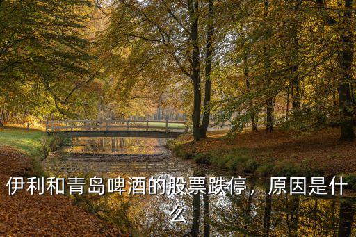 伊利和青島啤酒的股票跌停，原因是什么