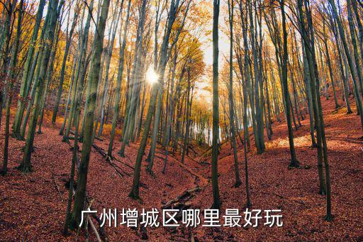 廣州增城哪里有森林氧吧,廣州增城區哪里最好玩
