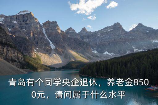 青島有個同學央企退休，養老金8500元，請問屬于什么水平