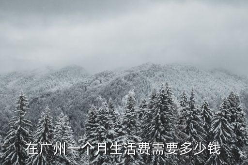 在廣州一個月生活費需要多少錢