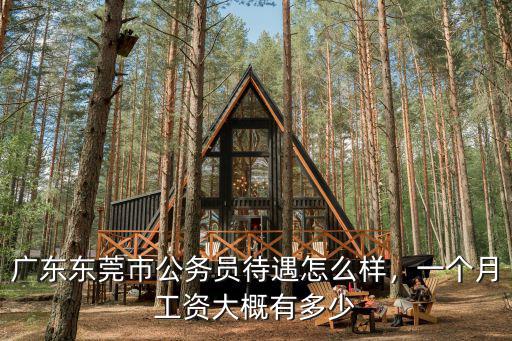 廣東東莞虎門輔警漲多少工資,廣東東莞市公務員待遇怎么樣