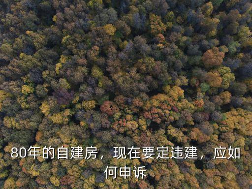 深圳自建房違建怎么辦,現(xiàn)在要定違建